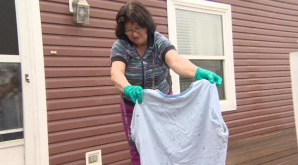 英國男子在花園散步,被飛機天降一潑屎澆一頭?這種倒黴事還不少 英國男子在花園散步,被飛機天降一潑屎澆一頭?這種倒黴事還不少