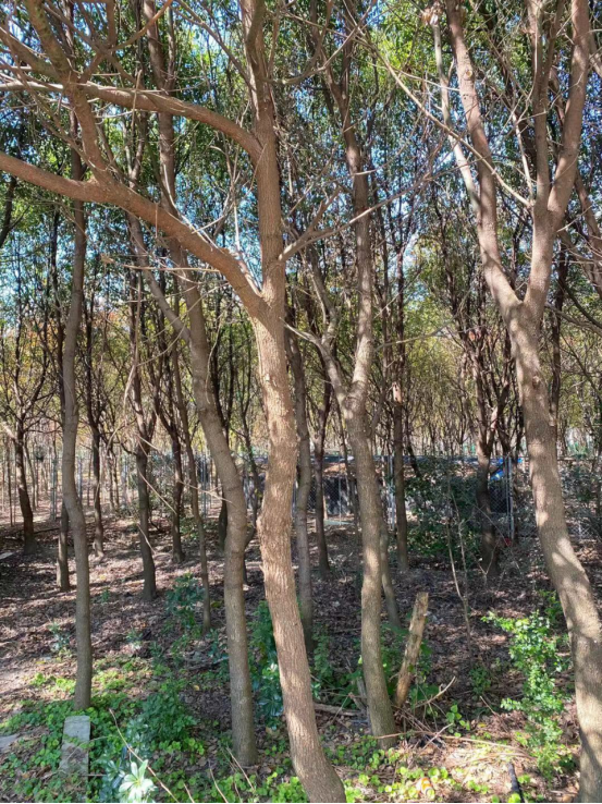 荷庭農家小院 | 純樸與藝術結合在一起,來過你就會愛上 荷庭農家小院 | 純樸與藝術結合在一起,來過你就會愛上