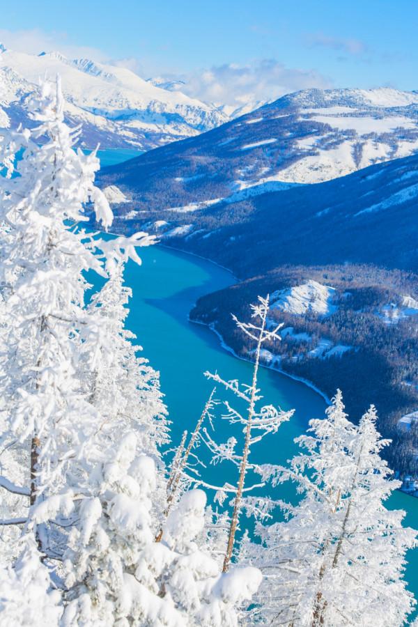多少人的夢想!湖南姑娘用5年,在新疆禾木打造了個絕美花園 多少人的夢想!湖南姑娘用5年,在新疆禾木打造了個絕美花園