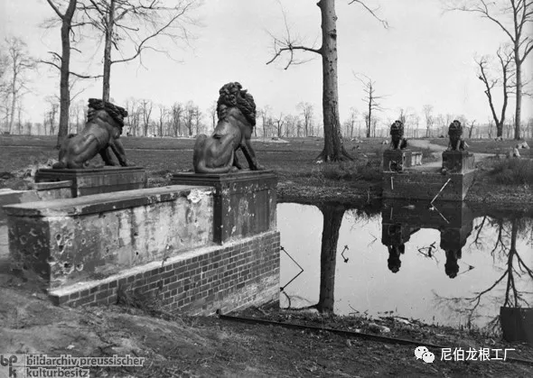 沒救了，燉了吧：二戰中的德國柏林動物園