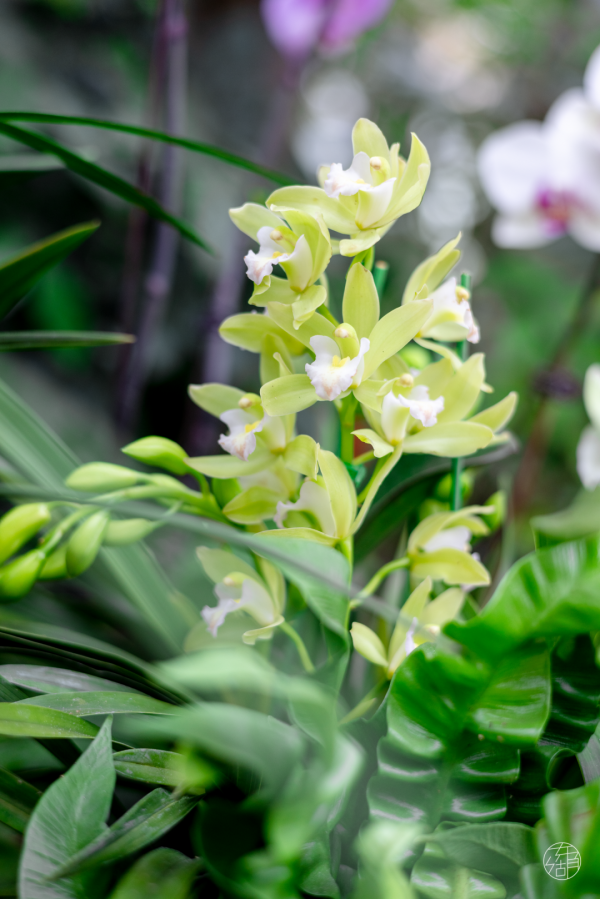 在東湖過元旦，好多新板眼！