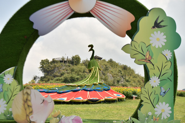 百里杜鵑:彝山花谷景區進入盛花期 中秋國慶賞花正當時 百里杜鵑:彝山花谷景區進入盛花期 中秋國慶賞花正當時