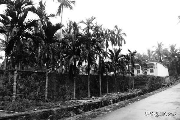 40年的記憶——海南國營乘坡農場行