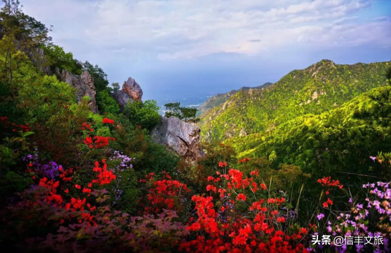 絕美冬景上線！這處色彩繽紛的地質公園，紅楓怪石看不完，每一眼都是驚豔！