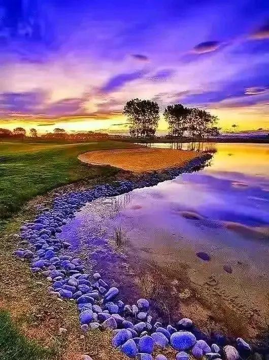 熱愛和希望，才是我們的家…