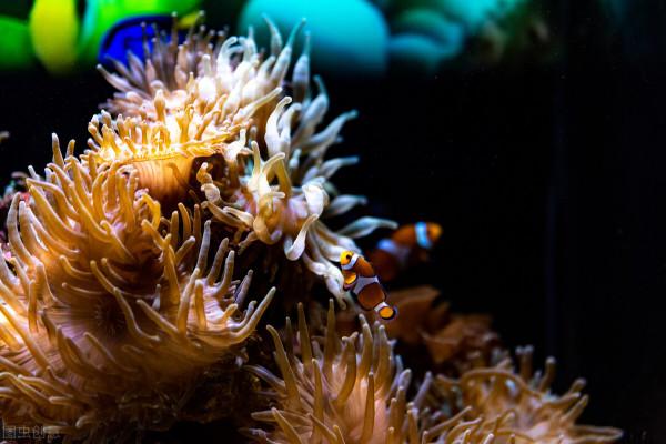 大自然給預我們留下太美景色