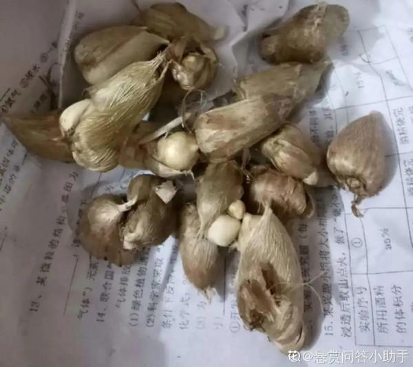 屋裡養盆“香水花”,活脫脫的“活香水”,滿屋香味還特別耐寒 屋裡養盆“香水花”,活脫脫的“活香水”,滿屋香味還特別耐寒