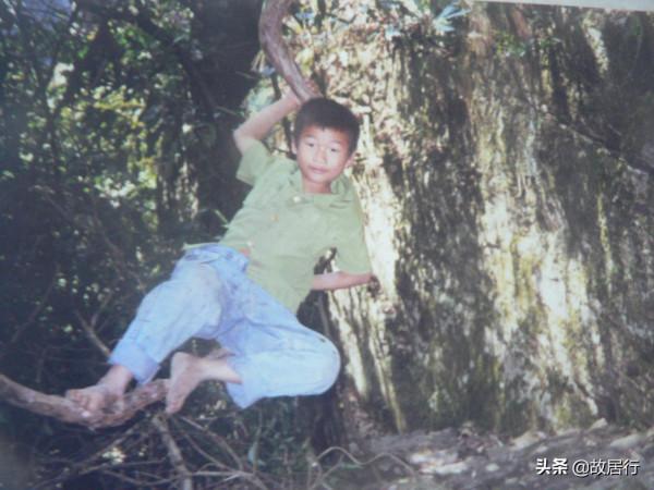 楊家界 烏龍寨 天波府 楊家界 烏龍寨 天波府