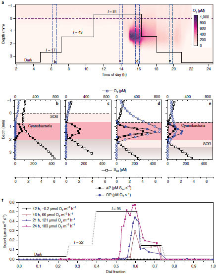 地球的自轉速度與氧化之間的可能聯絡