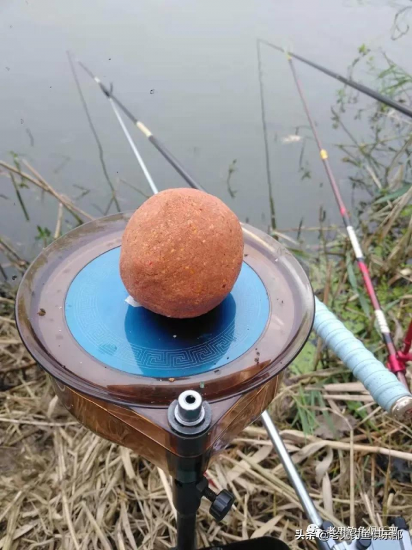 氣溫驟變,水庫岔河解毒 氣溫驟變,水庫岔河解毒