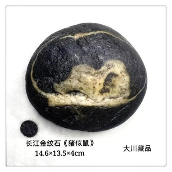 大川藏石56圖分享，天然奇石美不勝收