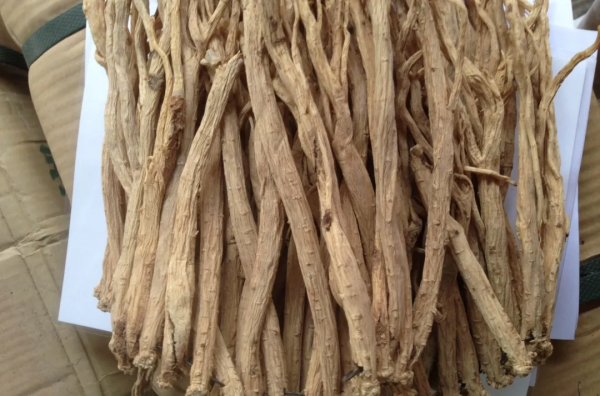 千古溫中健脾名方——附子理中丸 千古溫中健脾名方——附子理中丸