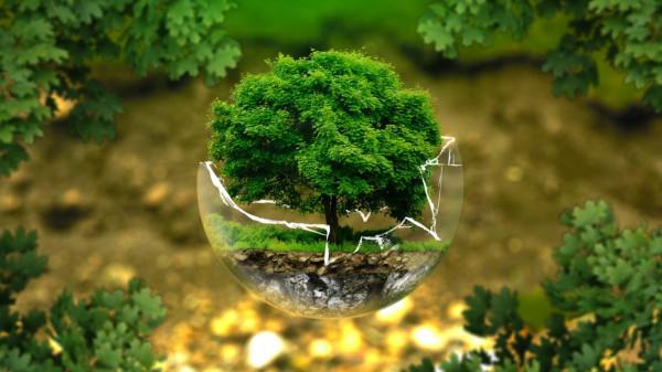 若冰川加速融化,海平面上升至66米,我國哪些一線城市會被淹沒? 若冰川加速融化,海平面上升至66米,我國哪些一線城市會被淹沒?