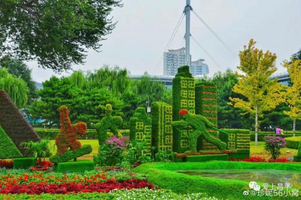 中秋好天氣,秋高氣爽爬山賞花過佳節! 中秋好天氣,秋高氣爽爬山賞花過佳節!