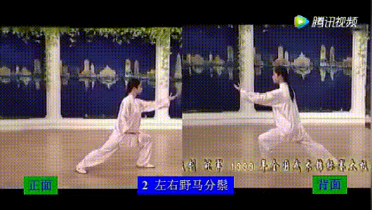 經典套路:24式簡化太極拳正反面演示 經典套路:24式簡化太極拳正反面演示