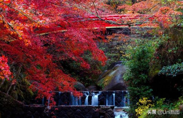 如果一生只能去一次日本,我選擇在秋天 如果一生只能去一次日本,我選擇在秋天