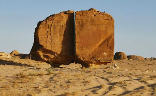 20張活久未見的照片,一隻公雞PK7只火雞,這氣場太霸氣了 20張活久未見的照片,一隻公雞PK7只火雞,這氣場太霸氣了