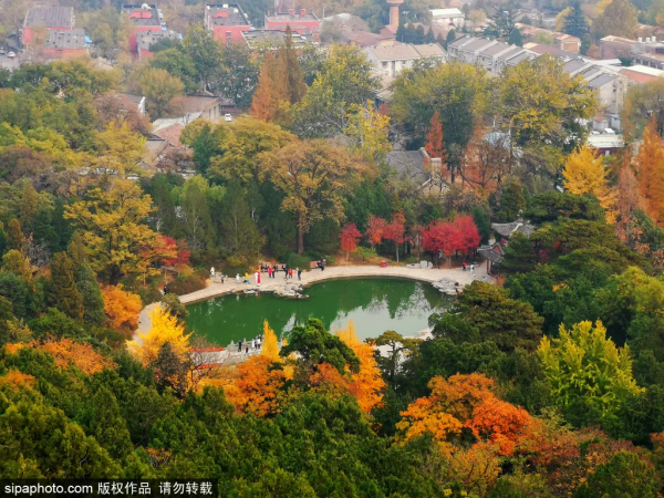 顏值爆表！北京熱門賞秋地，紅葉盛宴即將來襲~