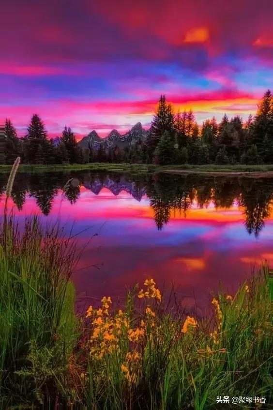 美呆的人間仙境