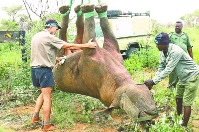 2021“搞笑諾貝爾獎”爆笑出爐