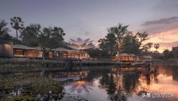 非洲自然界酒店