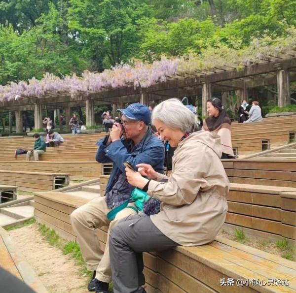 65歲老人拒絕過戶房子給繼子：我對你兒子沒義務，我不靠他養老