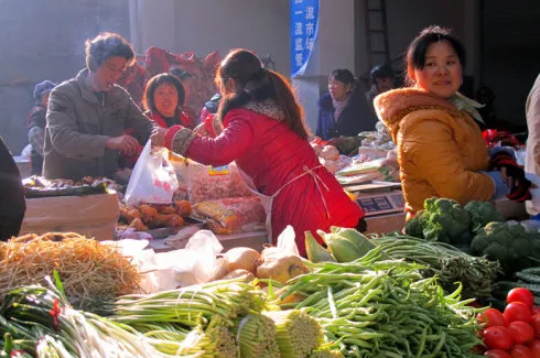 這裡沒有李子柒和張同學，我在安徽農村創業，負債300萬