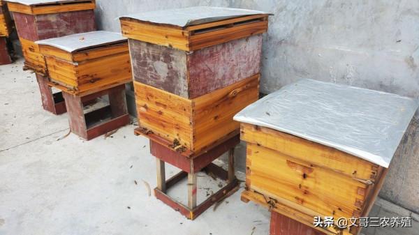 應蜂友要求:我把養蜂1群1年繁殖成50群經驗分享給大家 應蜂友要求:我把養蜂1群1年繁殖成50群經驗分享給大家