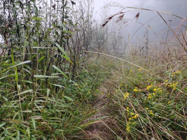 徒步林州市福興寺一一天平寺一一桃源度假村 徒步林州市福興寺一一天平寺一一桃源度假村