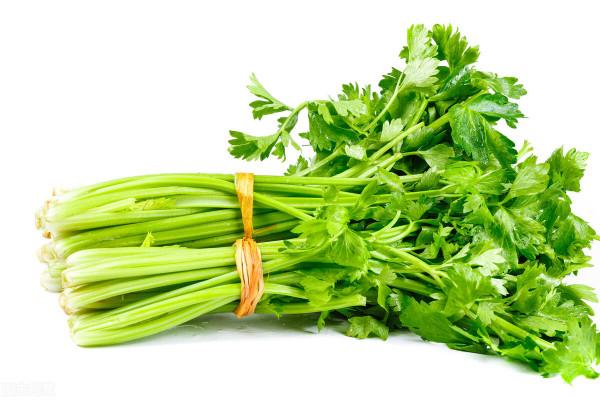 什麼樣的人不適合吃蔬菜,這四種蔬菜一定要慎重 什麼樣的人不適合吃蔬菜,這四種蔬菜一定要慎重