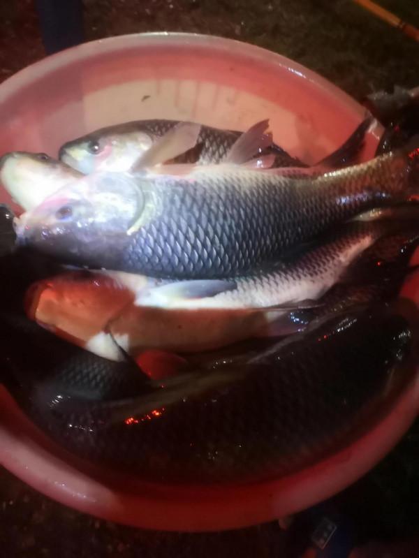 老光威終於炸了 老光威終於炸了