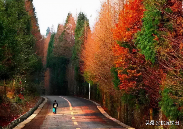 這幾個愈秋愈美的小眾旅行地，錯過只能再等一年