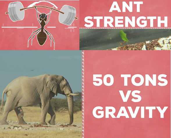 電動汽車為什麼一跑高速，就變弱雞？為什麼要研發高速電機？