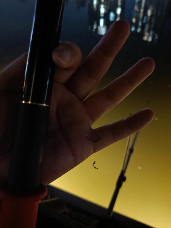 頂漂數次皆不中，精彩的瞬間是三抄網