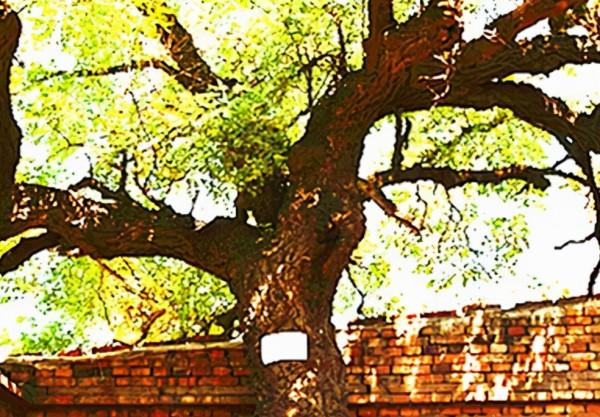 劉少奇在峰峰八特遇險脫險的故事