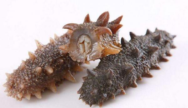 男足兵敗如山倒，這次的球迷質疑的問題出現了新氣象