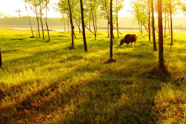 活著,真不是一件容易的事 活著,真不是一件容易的事