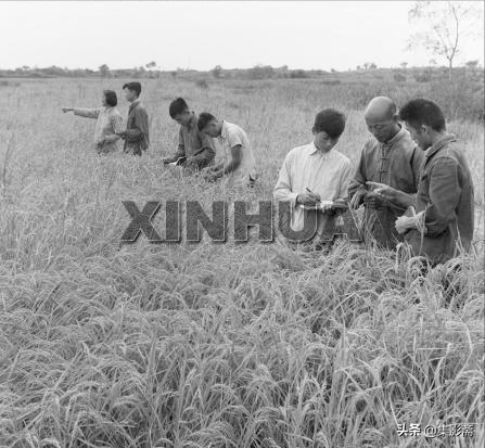 江陰市六七十年代老照片