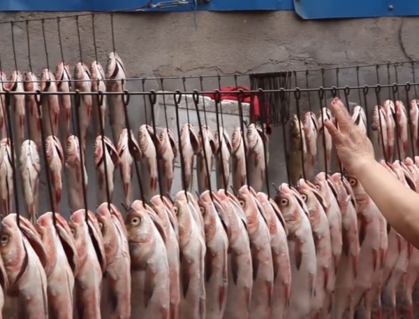 河南鯉魚吃骨頭，18元一斤真是實惠，除了鍋蓋黑乎乎，沒啥缺點