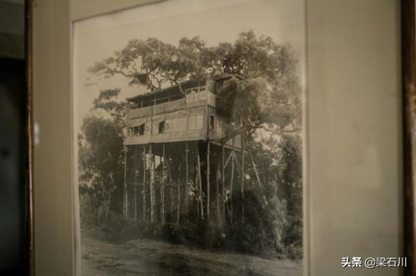 伊麗莎白二世：在上樹住店前，她還是公主，下樹後成為女王