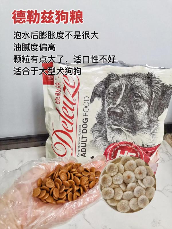 還在盲選毒糧嘛！教你最簡單的選狗糧方法