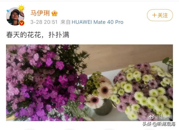 文章又有新戀情，女方已育，馬伊琍：姐很忙