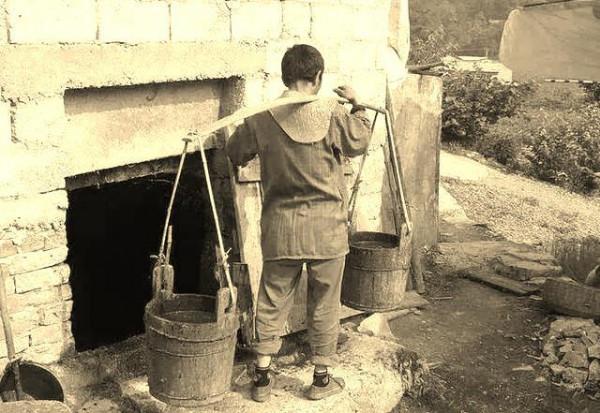 老農撿到金烏龜,拒絕文物販子1000元收購,上交國家獲獎350元 老農撿到金烏龜,拒絕文物販子1000元收購,上交國家獲獎350元