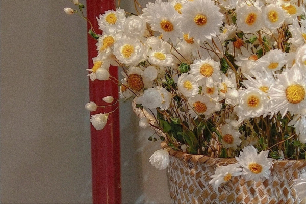 不會說漂亮話，只會用行動證明自己的星座，踏實勤懇，值得深交