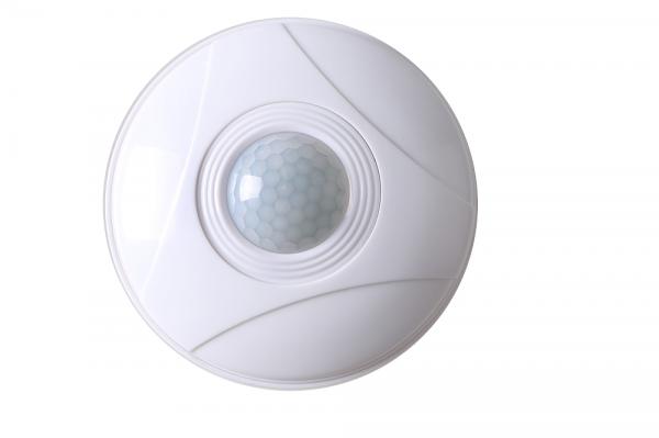 1957一隻狗被人類送入太空，流浪太空的英雄狗，現在變成什麼樣？