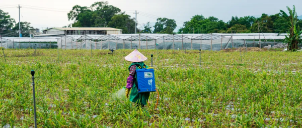 一個農資人的自述！2021如此艱難，2022可以這麼幹