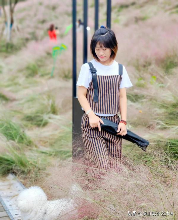 金秋與粉黛亂子草來一場夢幻的邂逅 金秋與粉黛亂子草來一場夢幻的邂逅