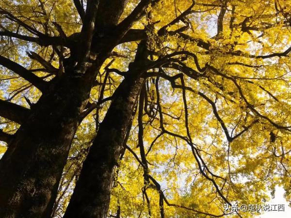 江西的這座山，與月亮有關，還帶著明月般朦朧的美