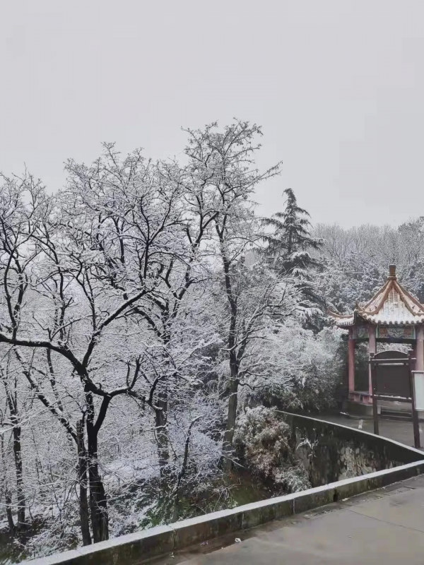 燈火、長街，讓你說不出的家鄉美