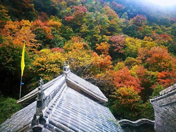太行山最美的秋色在這裡